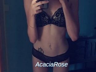 AcaciaRose