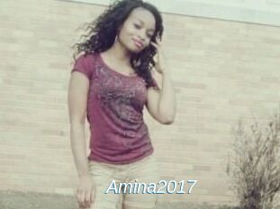 Amina2017