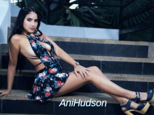 AniHudson