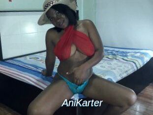 AniKarter