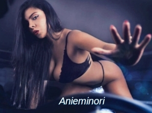 Anieminori