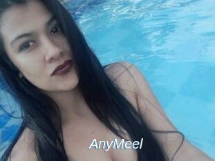 AnyMeel