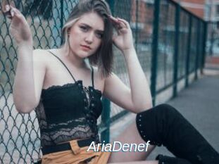AriaDenef