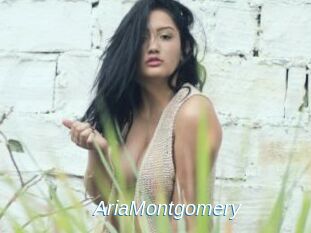 AriaMontgomery