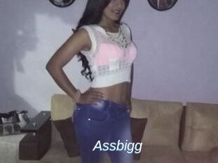 Assbigg