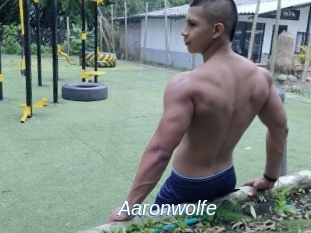 Aaronwolfe