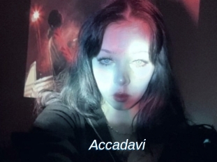 Accadavi