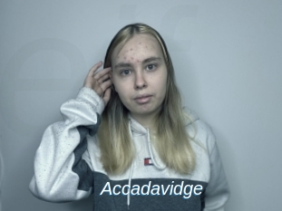 Accadavidge