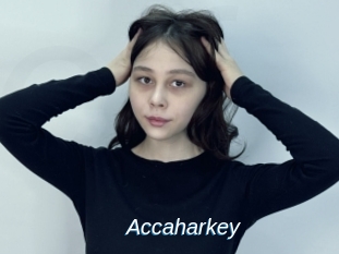 Accaharkey