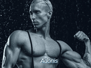 Adonis_