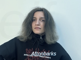 Aftonbarks