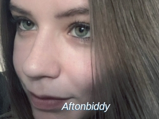 Aftonbiddy