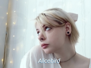 Alicebird