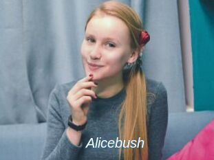 Alicebush