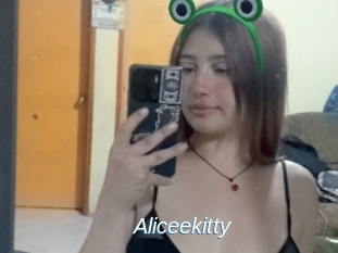 Aliceekitty