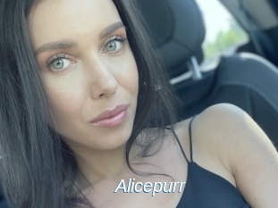 Alicepurr