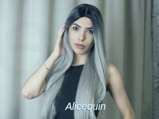 Alicequin