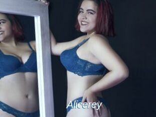 Alicerey