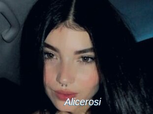 Alicerosi