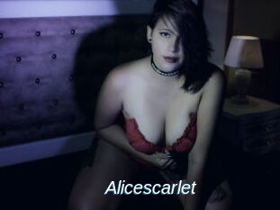 Alicescarlet
