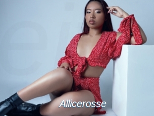 Allicerosse