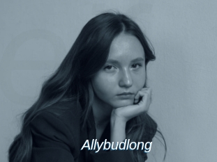 Allybudlong