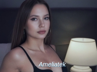 Ameliatek