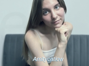 Amitycatlow