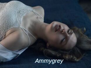 Ammygrey