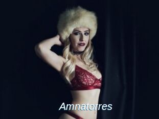 Amnatorres