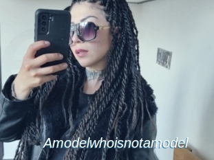 Amodelwhoisnotamodel