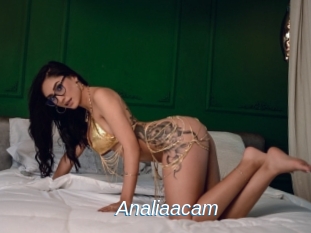 Analiaacam