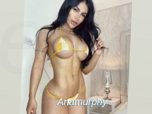 Anamurphy