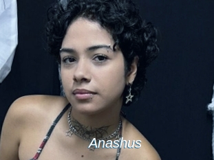 Anashus