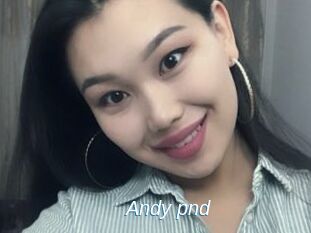 Andy_pnd