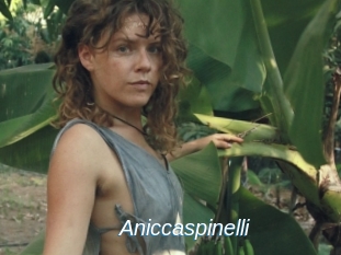 Aniccaspinelli