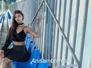 Anisamontres