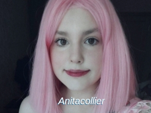 Anitacollier