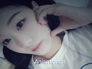 Anjamignon