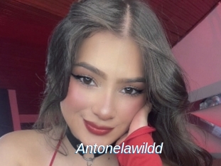 Antonelawildd