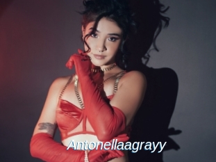 Antonellaagrayy