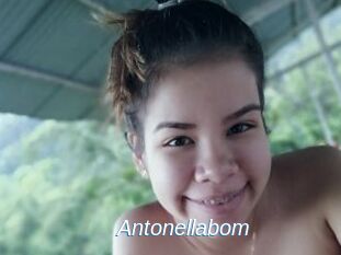 Antonellabom
