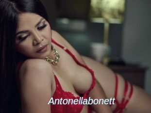 Antonellabonett