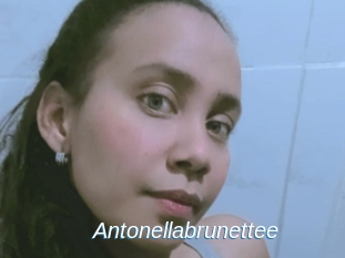 Antonellabrunettee