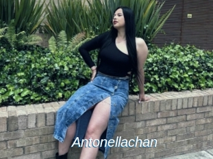 Antonellachan