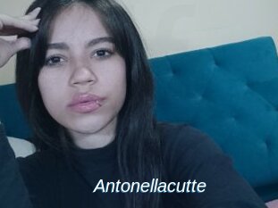 Antonellacutte