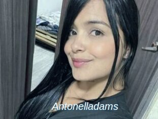 Antonelladams