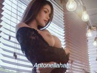 antonellahale Ejaculations Féminines