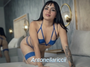 Antonellariccii