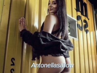 Antonellasallow